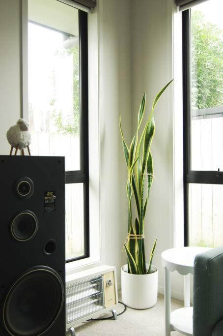 House In Hamilton Villa Luaran gambar